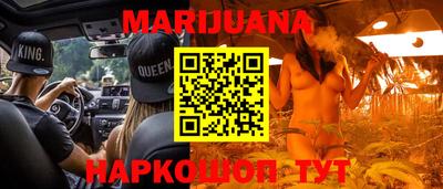 гидра Кингисепп