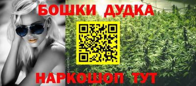 гидра Кингисепп